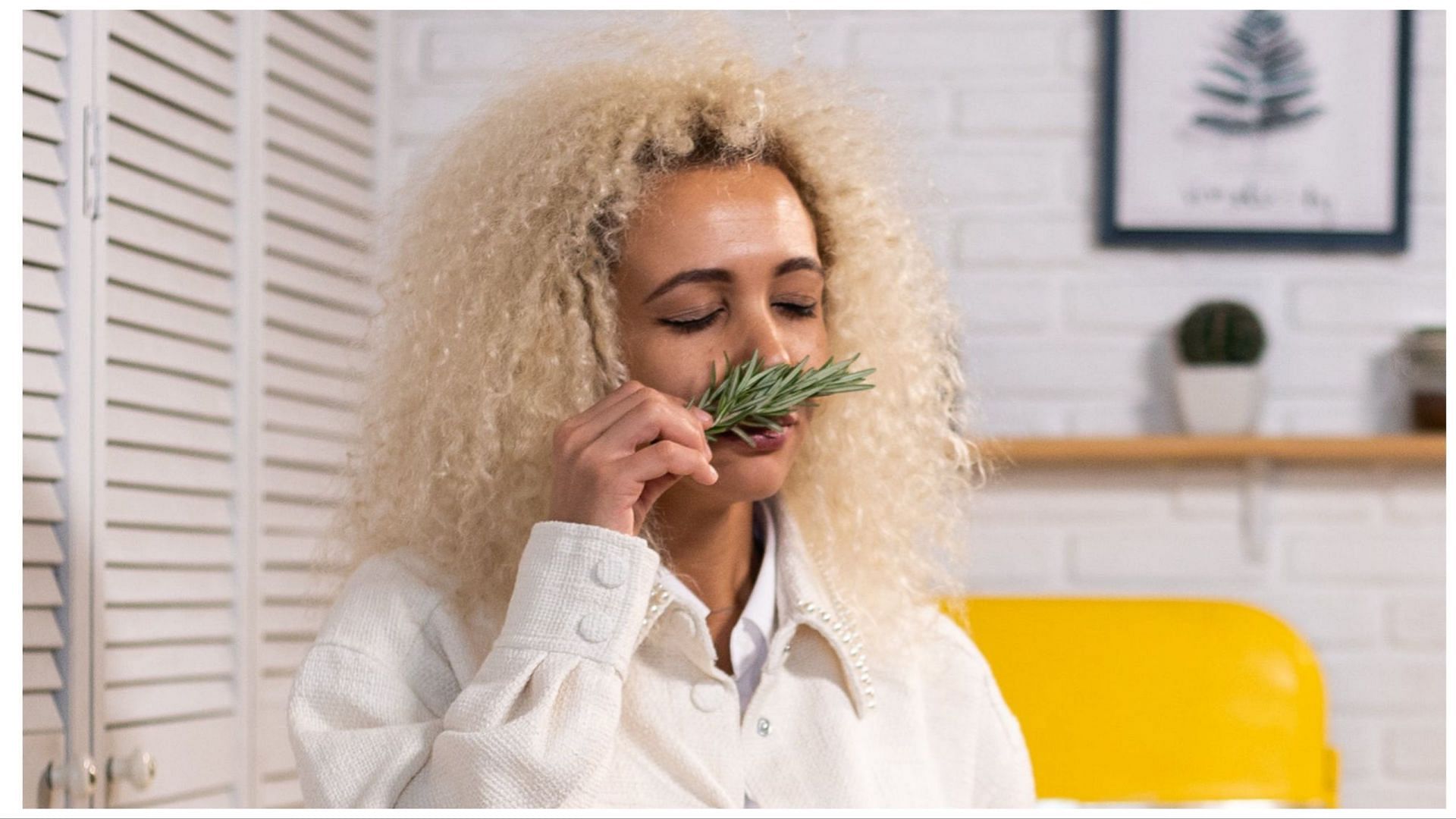 The benefits of rosemary are not just limited to its aromatic charm. (Image via Pexels/ Monstera Production)